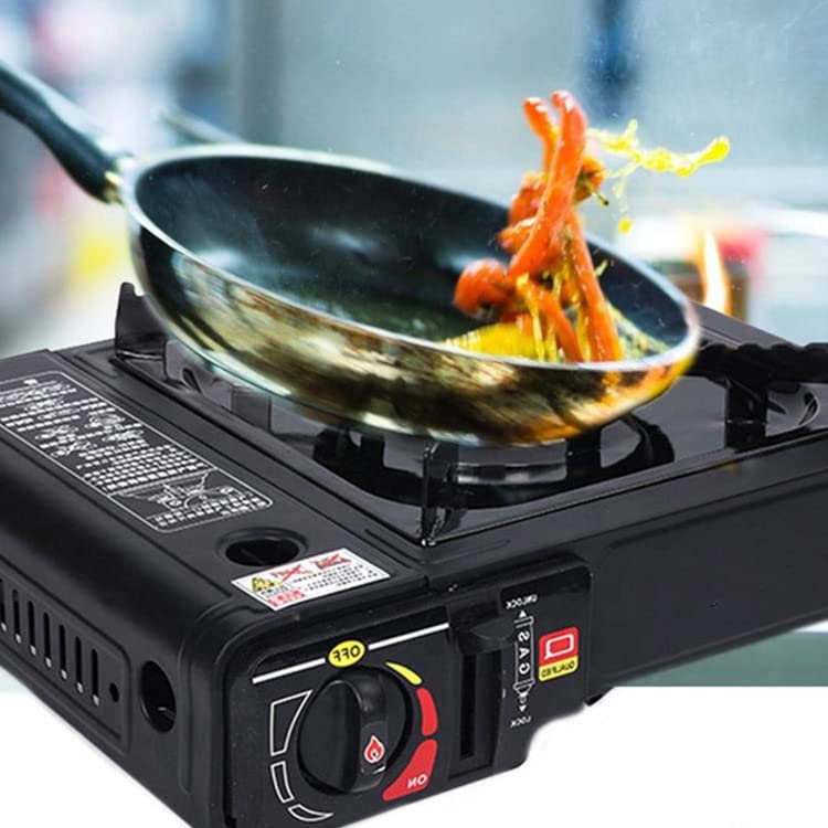 Portable Dual Fuel Camping Gas Stove
