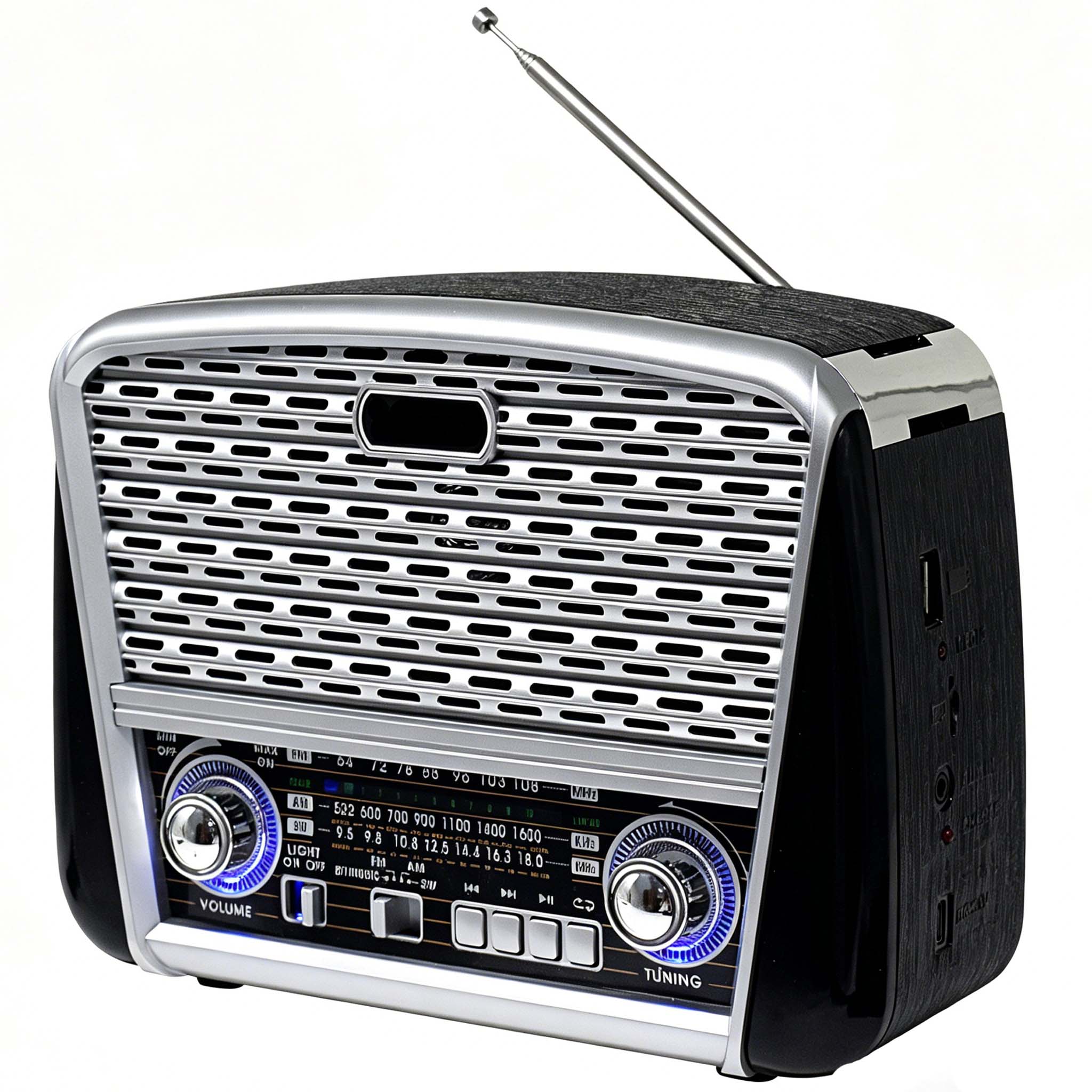 Portable Hi-Fi Radio Speaker with AM/FM Bands