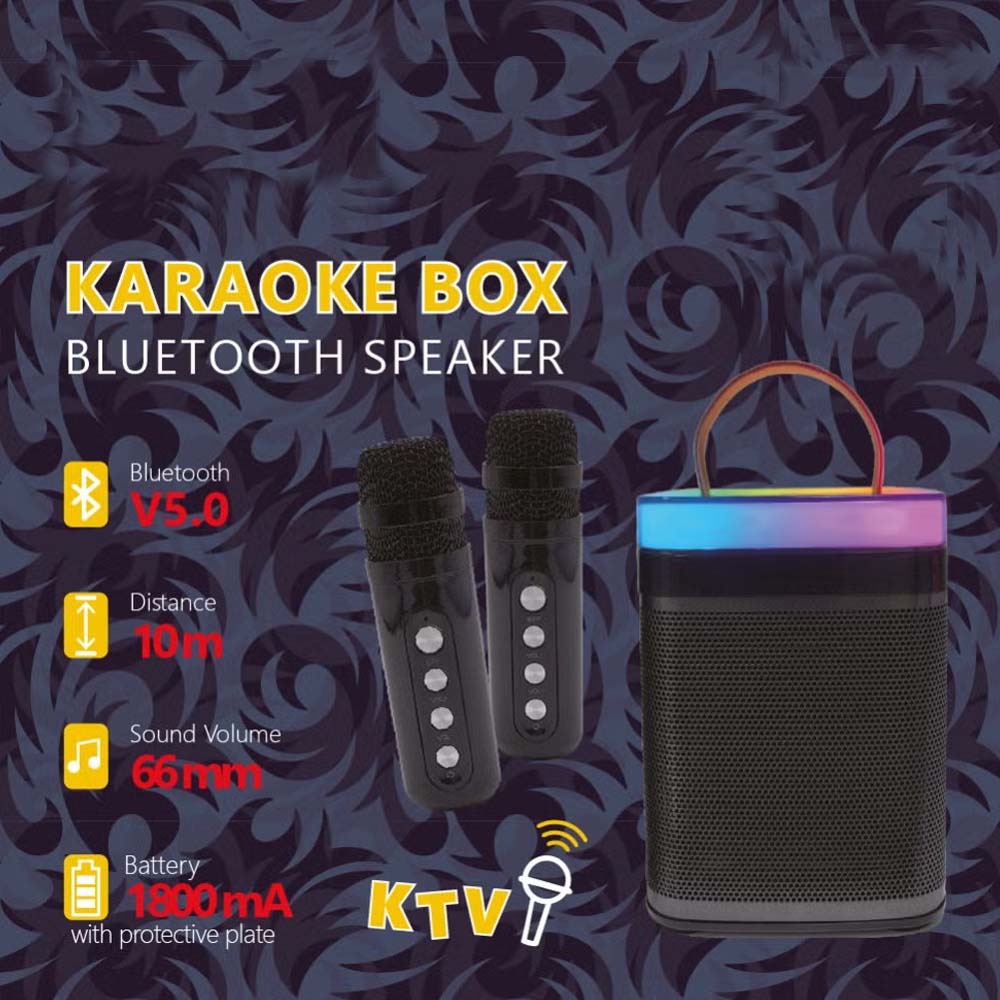 Mini Portable Karaoke Machine
