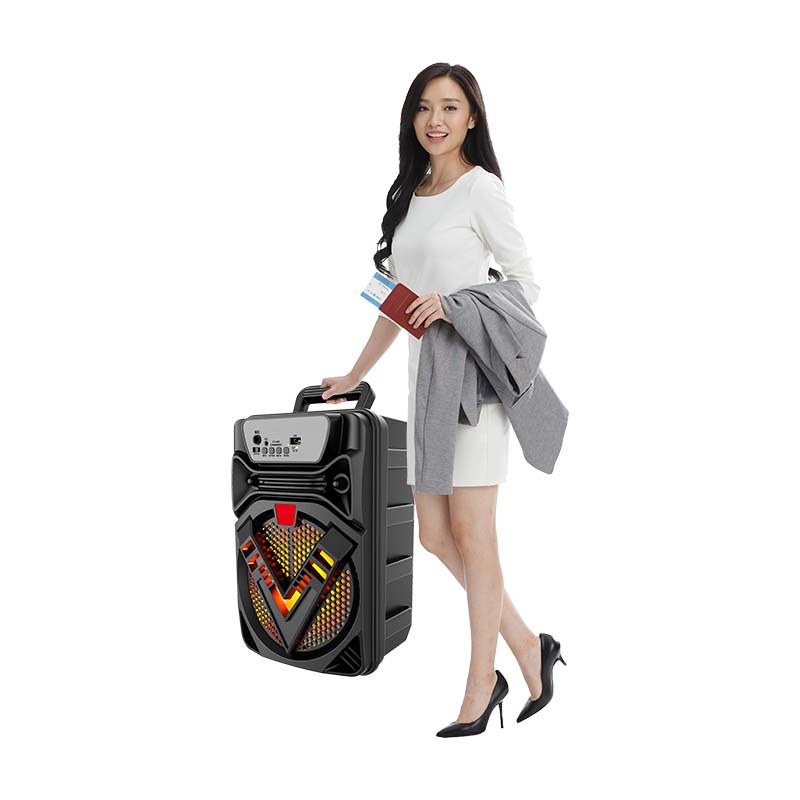Portable Bluetooth Karaoke Speaker with 6.5-Inch Woofer