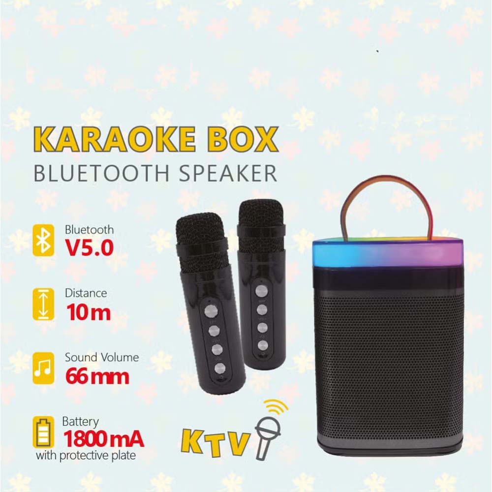 Mini Portable Karaoke Machine