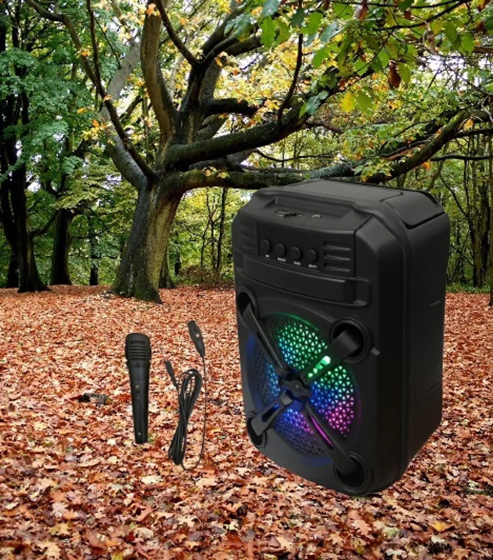 Portable Bluetooth Speaker with 6.5-Inch Driver