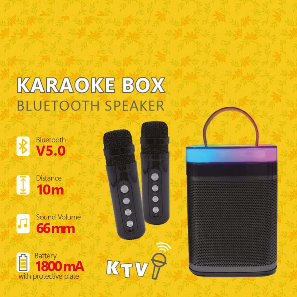 Mini Portable Karaoke Machine