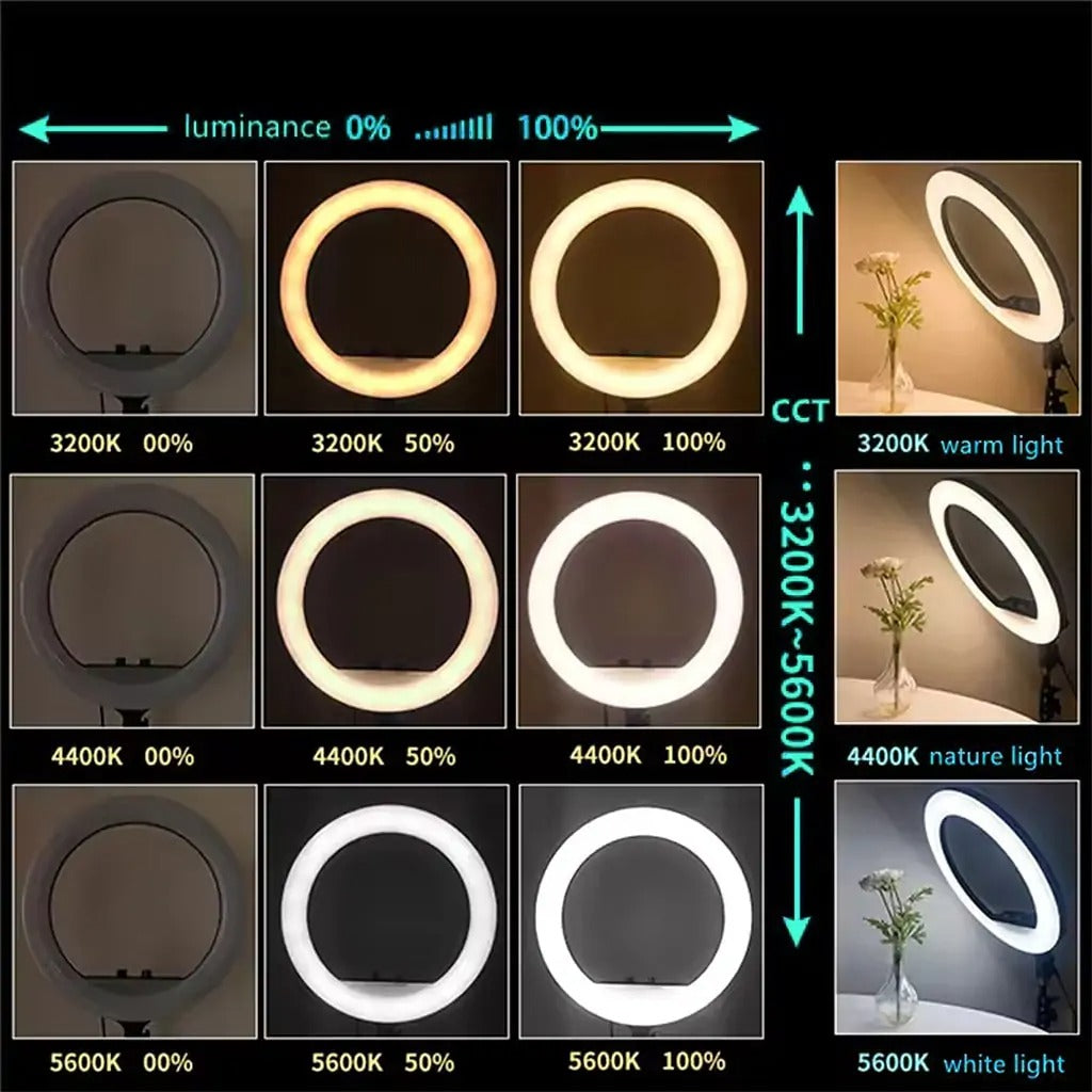 21-Inch Selfie Ring Light with Tripod Stand
