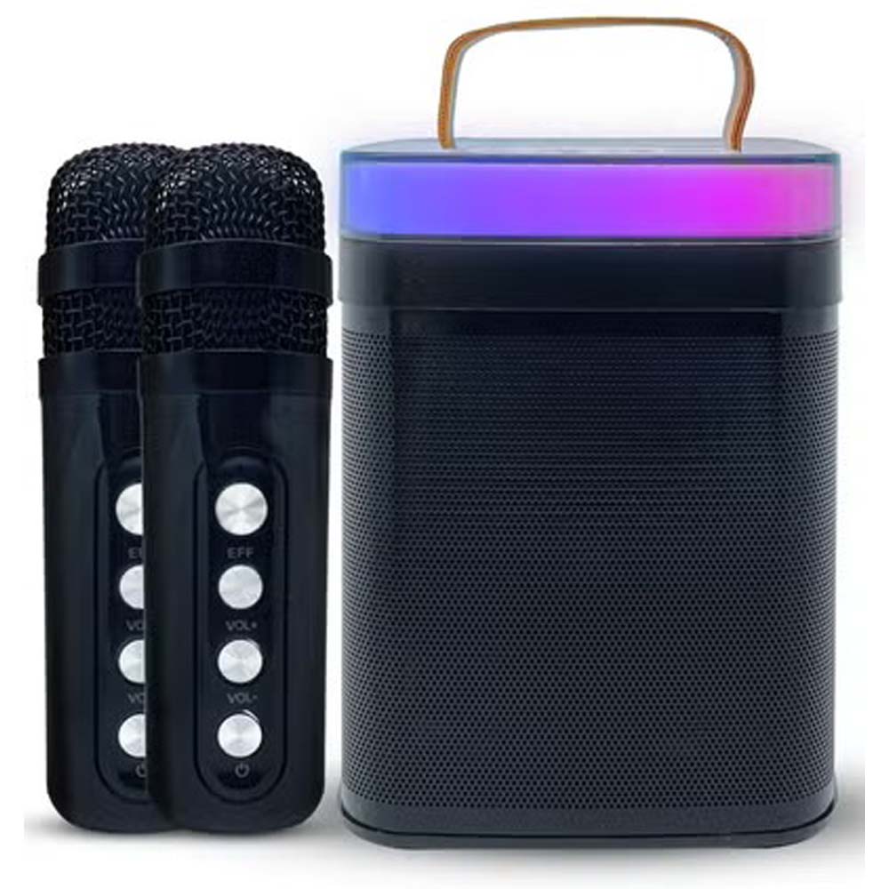 Mini Portable Karaoke Machine