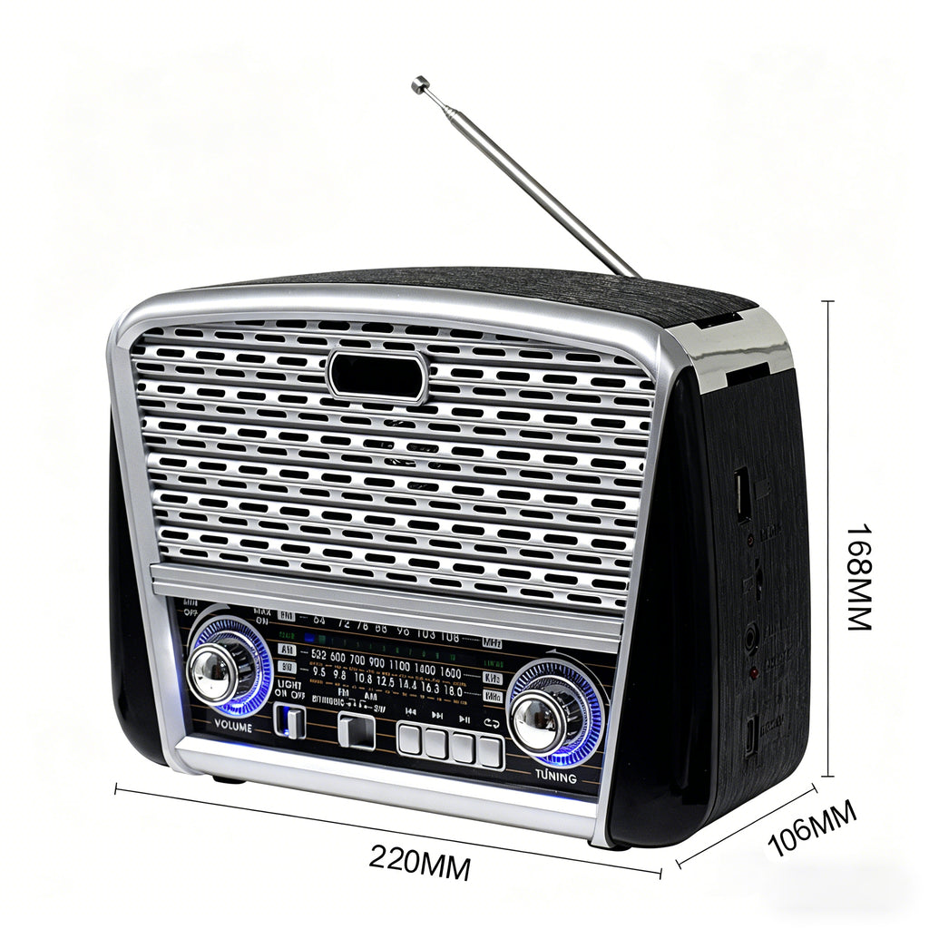 Portable Hi-Fi Radio Speaker with AM/FM Bands