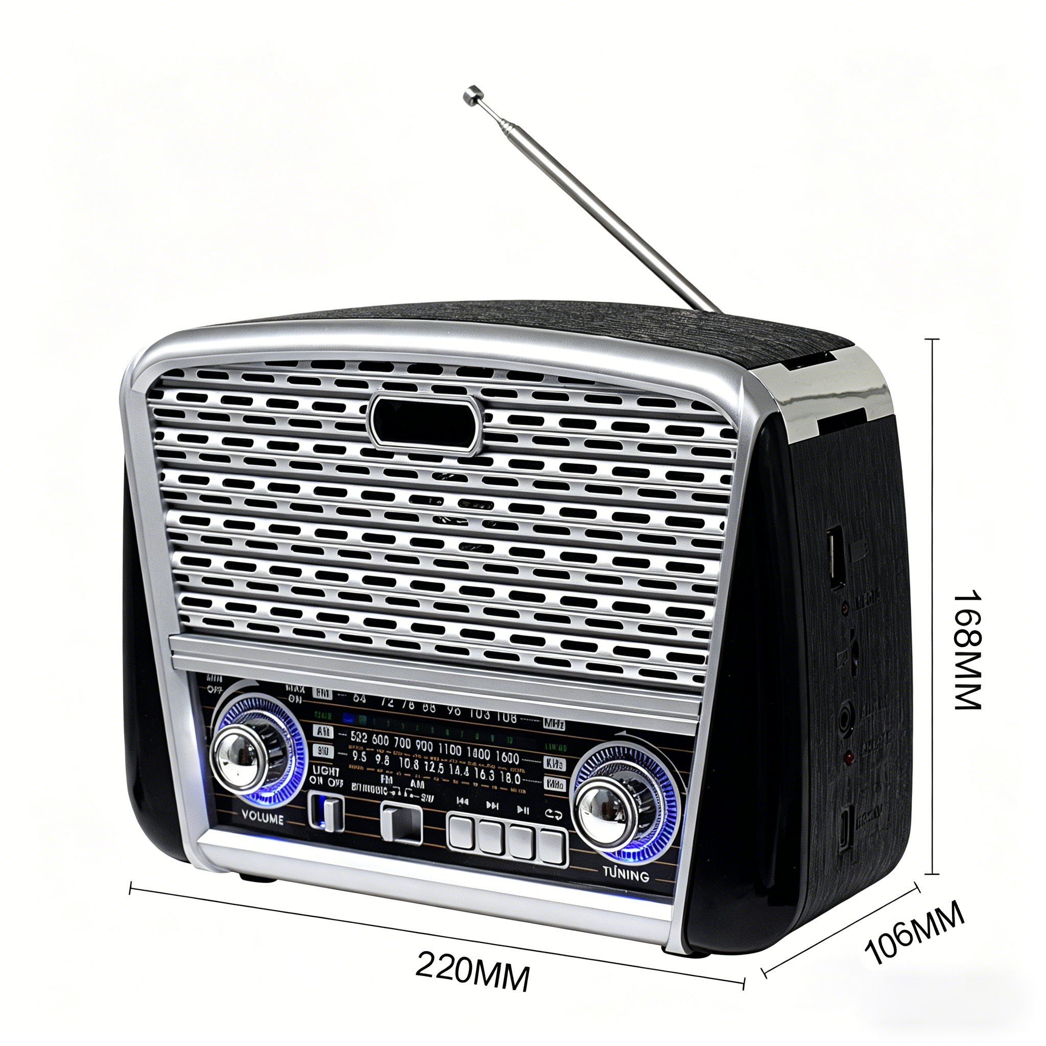 Portable Hi-Fi Radio Speaker with AM/FM Bands