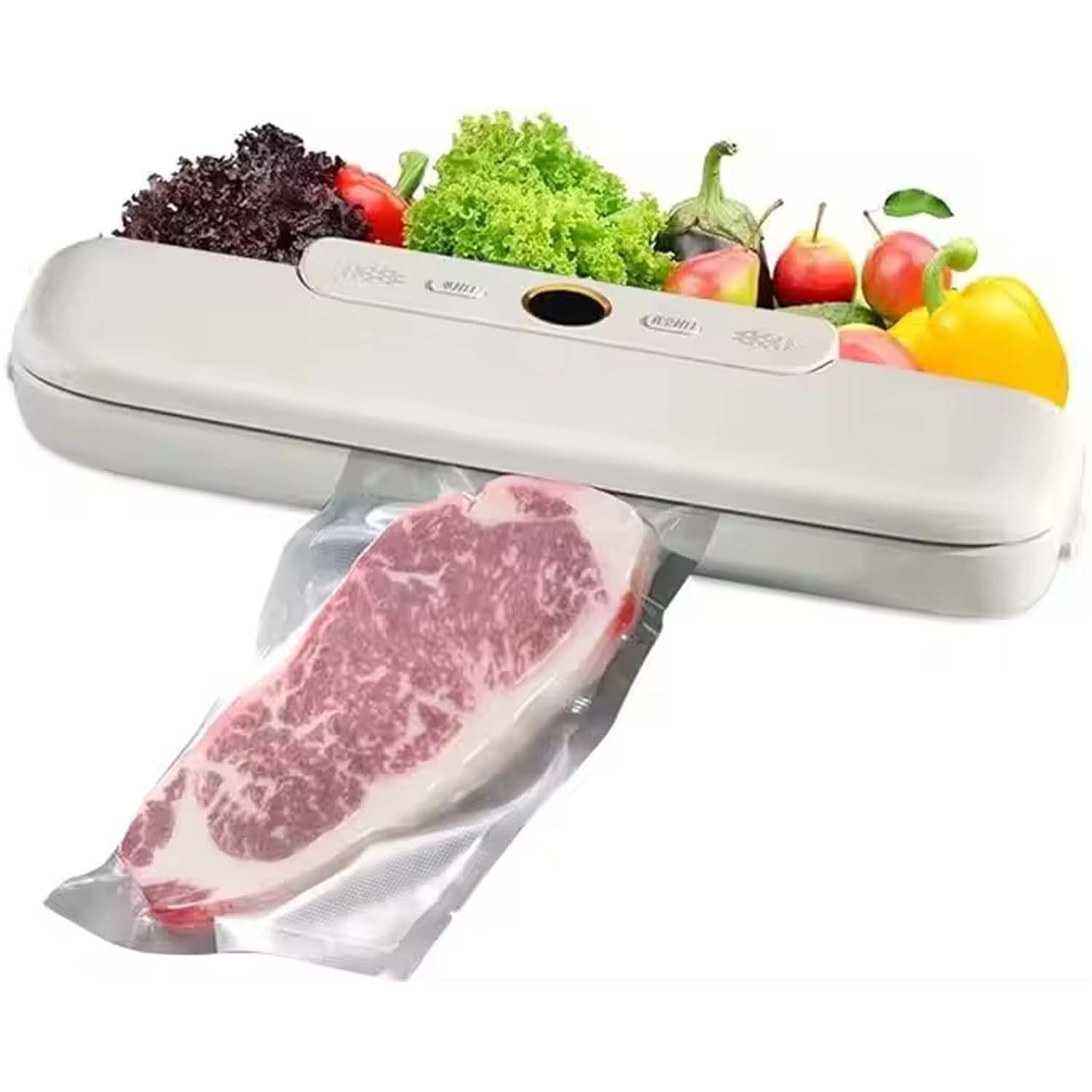 120W Vacuum Sealer Machine in Saudia Arabia